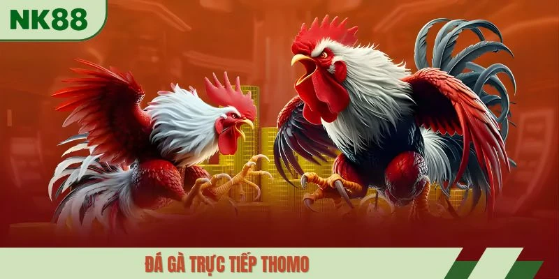 đá gà trực tiếp thomo