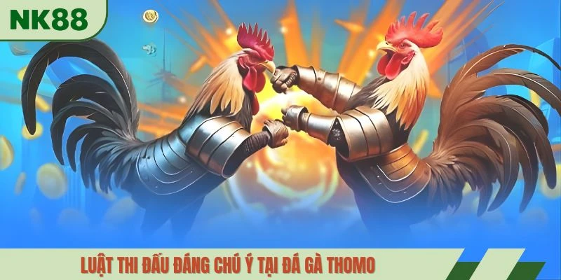 Luật thi đấu đáng chú ý tại đá gà Thomo